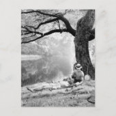 Huckleberry & Tom Postkarte (Vorderseite)