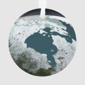 Hudson Bay Sea Ice am 14. November 2005. Ornament (Rückseite)