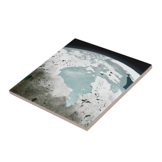 Hudson Bay Sea Ice am 29. April 2006. Fliese (Seite)