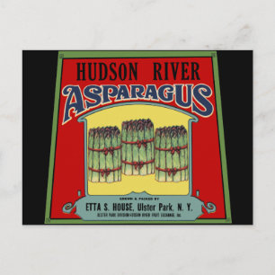 Hudson River Asparagus Label Postkarte