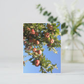 Hudson Valley Apples Postkarte (Stehend Vorderseite)