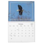 Hudson Valley Bald Eagles Calendar Kalender (Feb 2027)