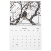 Hudson Valley Bald Eagles Calendar Kalender (Jan 2027)