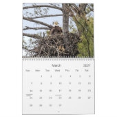 Hudson Valley Bald Eagles Calendar Kalender (Mär 2027)