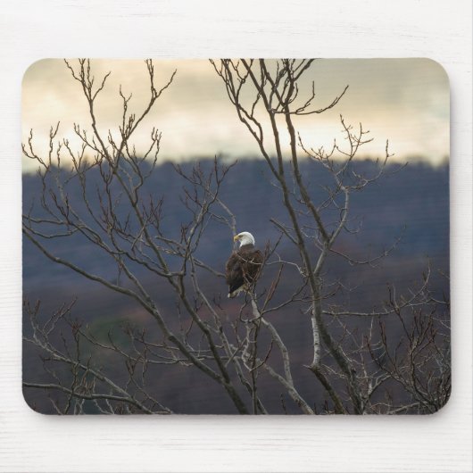Hudson Valley Eagle Mousepad (Vorne)
