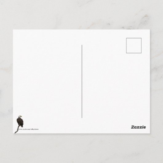 Hudson Valley Eagle Postkarte (Rückseite)