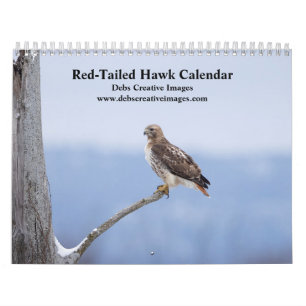 Hudson Valley Rotschwanzbussarde 2026 Kalender