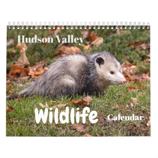 Hudson Valley Wildlife Calendar Kalender (Titelbild)