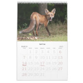 Hudson Valley Wildlife Calendar Kalender (Mär 2027)