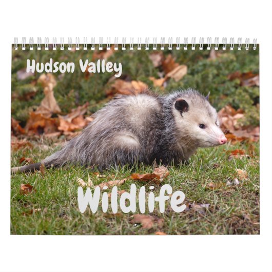 Hudson Valley Wildlife Kalender (Titelbild)