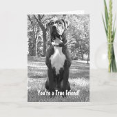 Hudson - You're a True Friend Card Karte (Vorderseite)