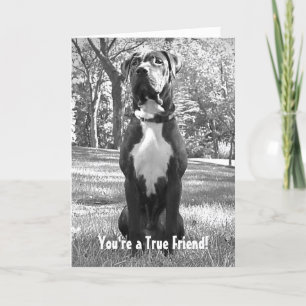 Hudson - You're a True Friend Card Karte