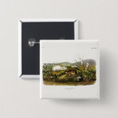 Hudson's Bay (Ungava Collared) Lemming von Audubon Button (Vorne & Hinten)