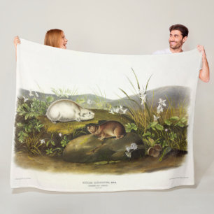 Hudson's Bay (Ungava Collared) Lemming von Audubon Fleecedecke