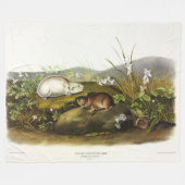 Hudson's Bay (Ungava Collared) Lemming von Audubon Fleecedecke (Vorderseite (Horizontal))