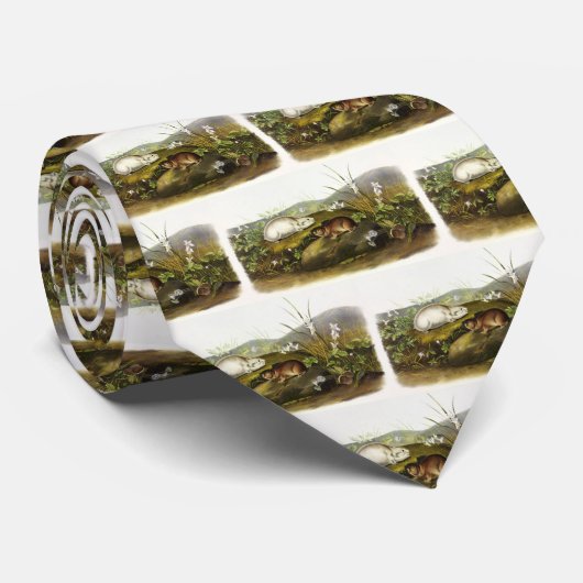 Hudson's Bay (Ungava Collared) Lemming von Audubon Krawatte (Gerollt)