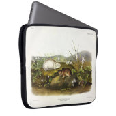 Hudson's Bay (Ungava Collared) Lemming von Audubon Laptopschutzhülle (Vorne Rechts)