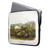 Hudson's Bay (Ungava Collared) Lemming von Audubon Laptopschutzhülle (Vorderseite Links)