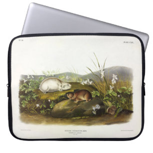 Hudson's Bay (Ungava Collared) Lemming von Audubon Laptopschutzhülle