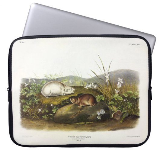 Hudson's Bay (Ungava Collared) Lemming von Audubon Laptopschutzhülle (Vorderseite)