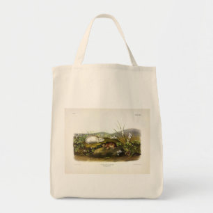 Hudson's Bay (Ungava Collared) Lemming von Audubon Tragetasche