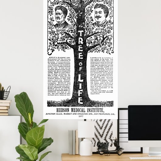 Hudyan Remedio Therapy - 1897 Poster (Heimbüro)
