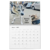 Huey 2023 Wall Calendar Kalender (Mär 2027)