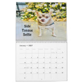 Huey 2023 Wall Calendar Kalender (Jan 2027)