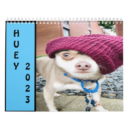 Huey 2023 Wall Kalender (Titelbild)