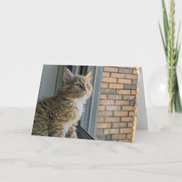 Huey blickt auf die Welt Karte