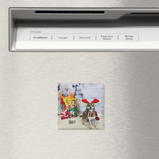 Huey Christmas Outfit Magnet (In Situ (Geschirrspüler))