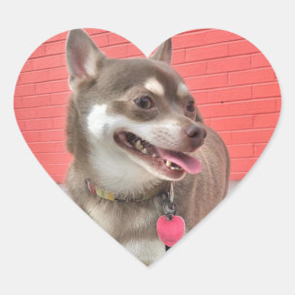 Huey hat meine Herzklammern! Herz-Aufkleber