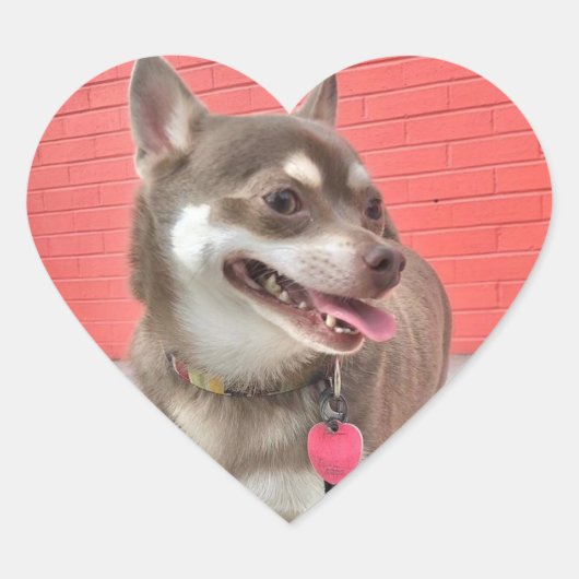 Huey hat meine Herzklammern! Herz-Aufkleber (Vorderseite)