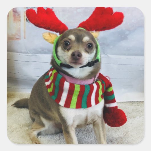 Huey Holiday Versag Quadratischer Aufkleber (Vorderseite)