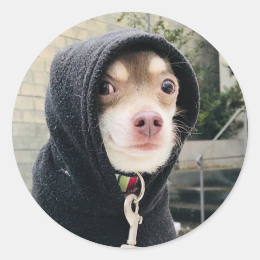 Huey in versteckter Sticker!! Runder Aufkleber (Vorderseite)