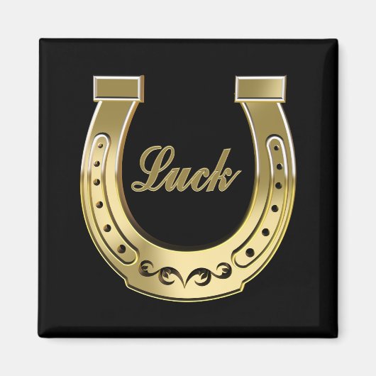 Hufeisen Magnet (Vorne)