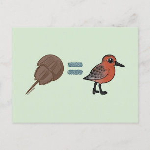 Hufeisen sind Leben Postkarte