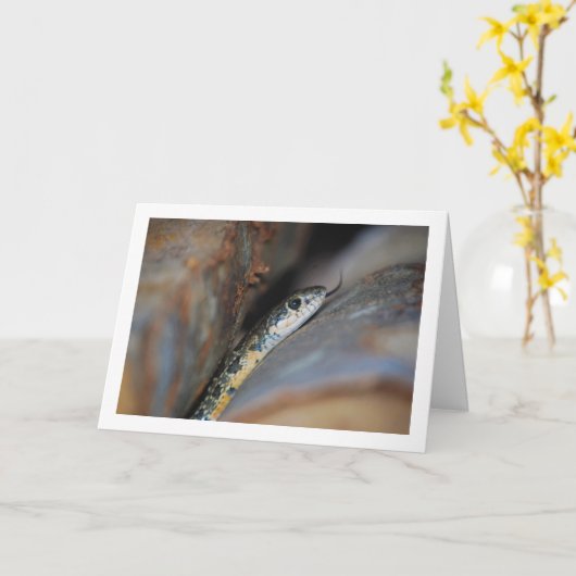 Hufeisenschlange Karte (Gelbe Blume)