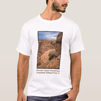 Hufeisenschlucht-Gewitter - Utah T-Shirt