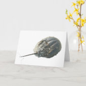 Hufeiskarte Karte (Gelbe Blume)