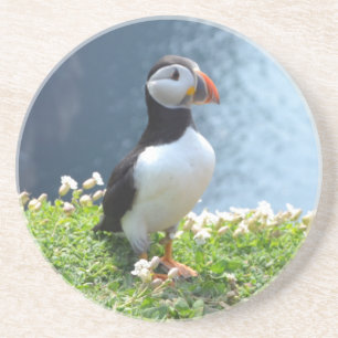 Huffin Papageientaucher Getränkeuntersetzer