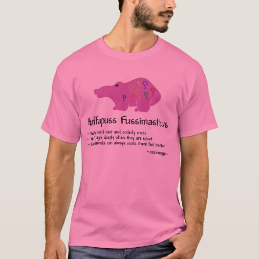 Huffy T-Shirt (Vorderseite)