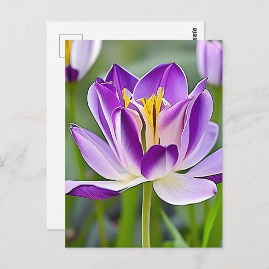 Hüfte, Blume, Postkarte (Vorne/Hinten)