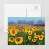 Hüftnebel, Postkarte (Vorne/Hinten)