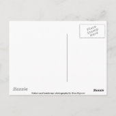 Hüftnebel, Postkarte (Rückseite)