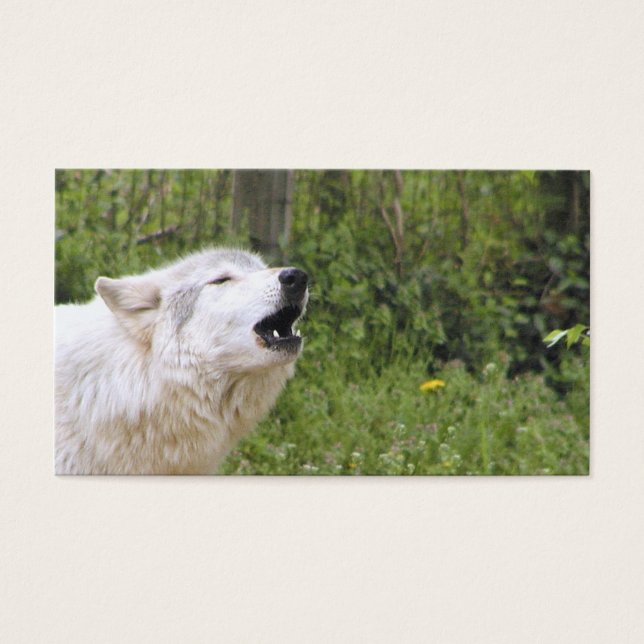 Hufwolf 3 (Vorderseite)