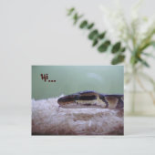 HUG POSTKARTE (Stehend Vorderseite)