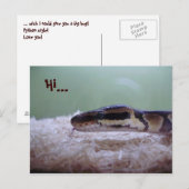 HUG POSTKARTE (Vorne/Hinten)