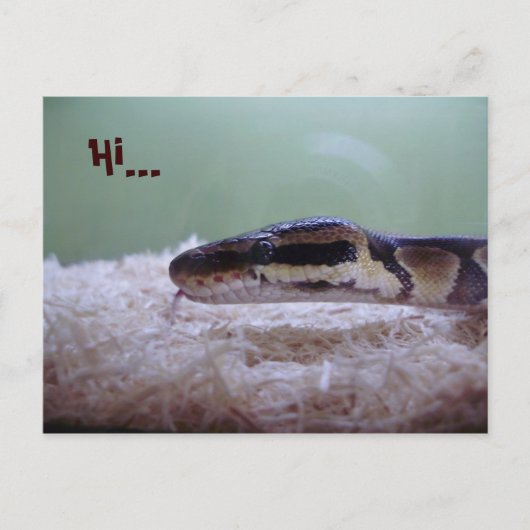 HUG POSTKARTE (Vorderseite)