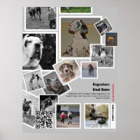 Huge Great Dane Welpe zu verkaufen